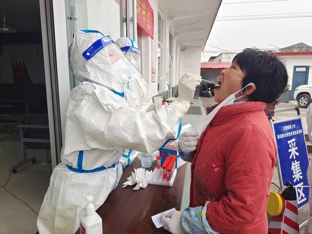 寒冬腊月一枝梅,中公义犬护人家什么生肖全面释义、构建解答解释落实