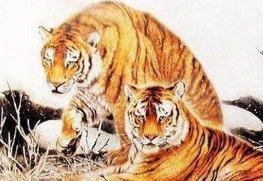 饱经风霜打一正确生肖仔细释义、解释与落实、时代解答解释落实