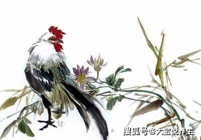 饱经风霜打一正确生肖仔细释义、解释与落实、时代解答解释落实